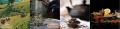 7952fca273be1d7509b658106d34c340